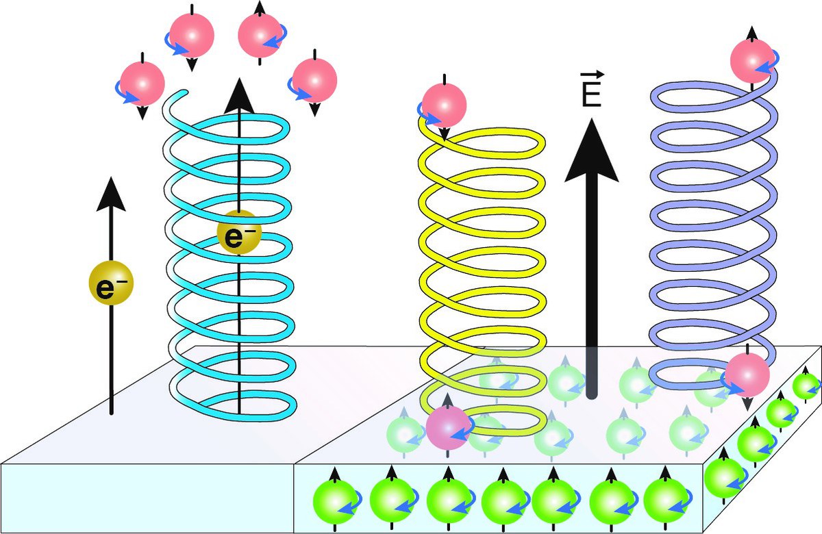  Elektronenspin-Selektivität: Elektronen (e– bzw. rote und grüne Kugeln mit Pfeil, der den Elektronenspin anzeigt, entweder nach oben oder nach unten) mit dem «falschen» Drehsinn (Spin) werden beim Durchfliegen von spiralförmigen Molekülen je nach Händigkeit der Spiralen (Links- oder Rechtsschrauben) zurückgehalten bzw. herausgefiltert, so dass ein Spin der Elektronen überwiegt (links im Bild Elektronen mit dem Pfeil nach unten). 