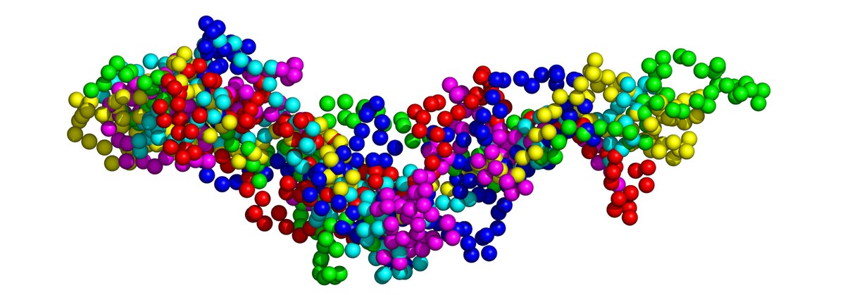 Überlagerung von sechs möglichen Anordnungen des Basischen Myelinproteins