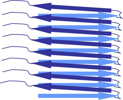 Schematische Darstellung von Amyloid-Fibrillen mit parallel verlaufenden beta-Faltblättern, wie sie auch in dem untersuchten Prion vorliegen. (Abbildung: HHU / Henrike Heise)