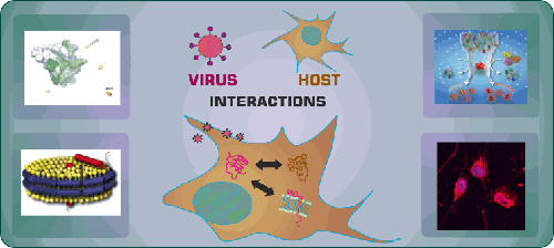 Virus-Wirt Wechselwirkungen