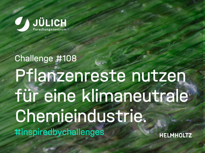 Pflanzenreste nutzen für eine klimaneutrale Chemieindustrie