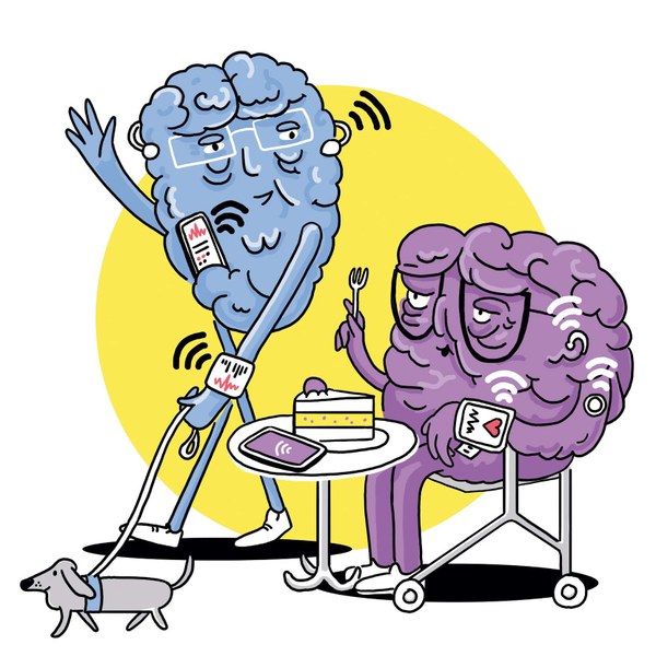 Darstellung eines aktiven und eines inaktiven Gehirns