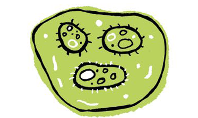 Bild 3.png