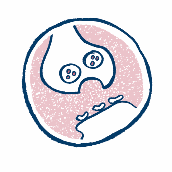 GIF Neurotransmitter