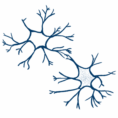 Synapse.gif