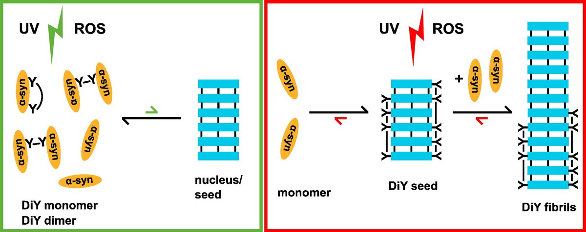Schematische Darstellung des Effekts