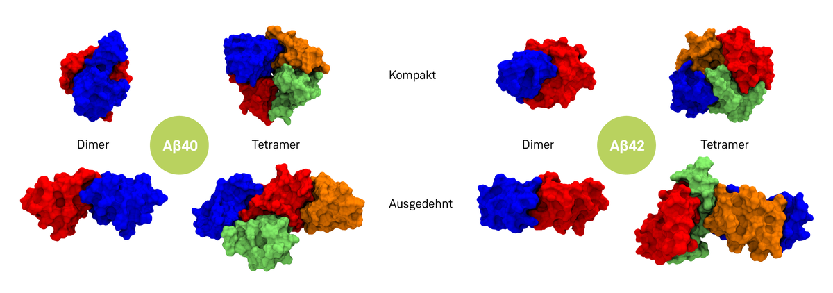 Beispiele Oligomere