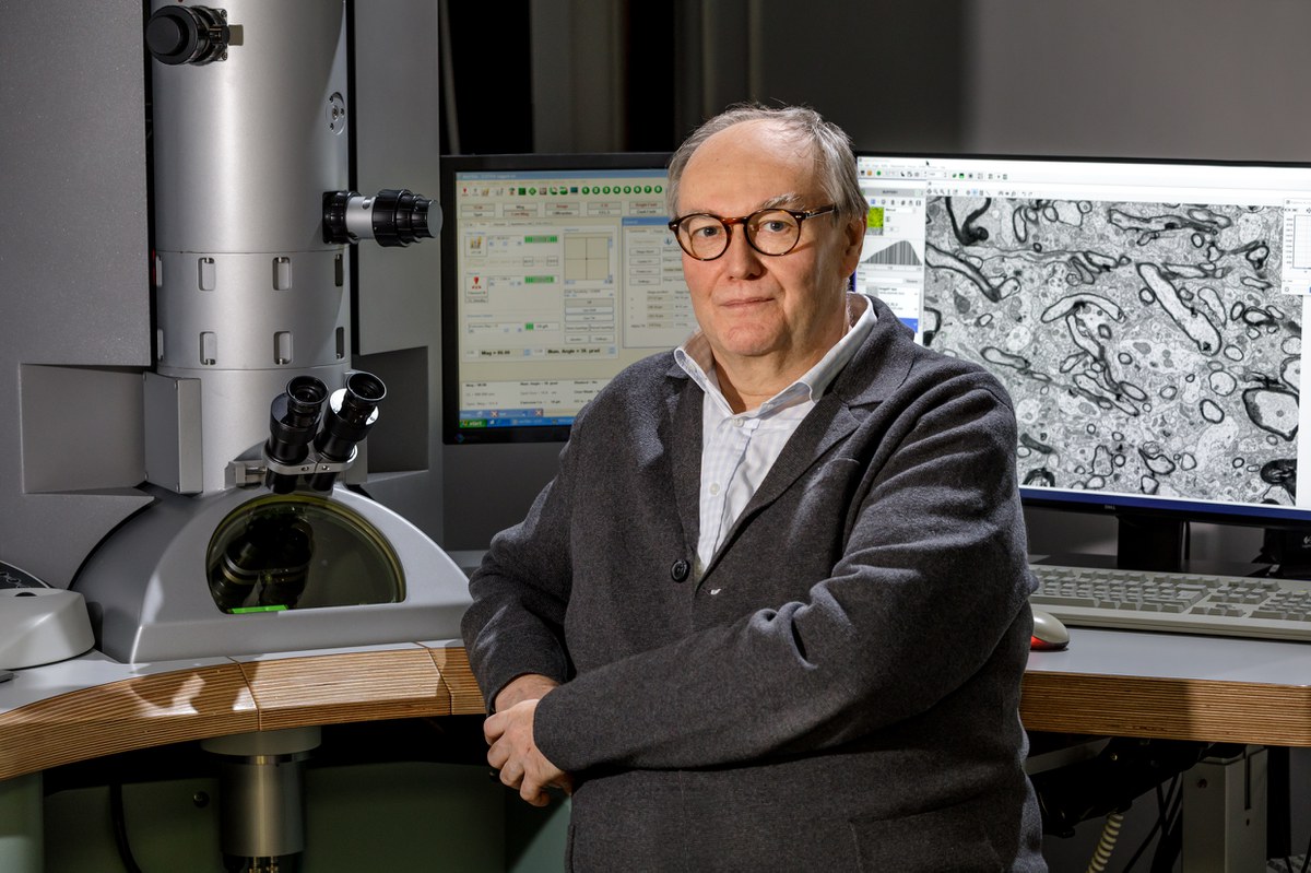 Prof. Dr. Joachim Lübke