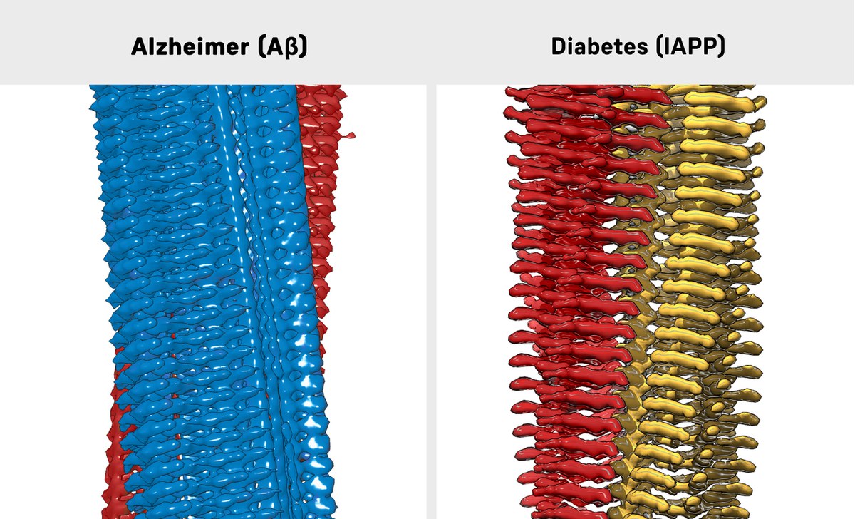 3D-Rekonstruktionen