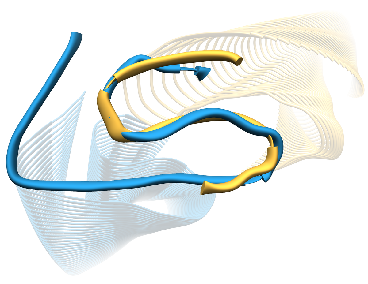 Querschnitte 3D-Modelle
