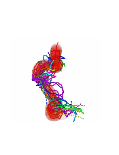 Polymere