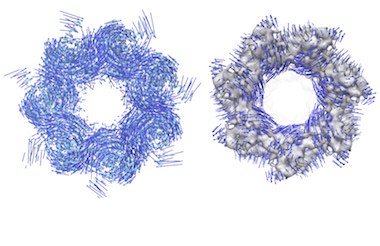 Zwei Abbildungen eines Helfer-Proteins