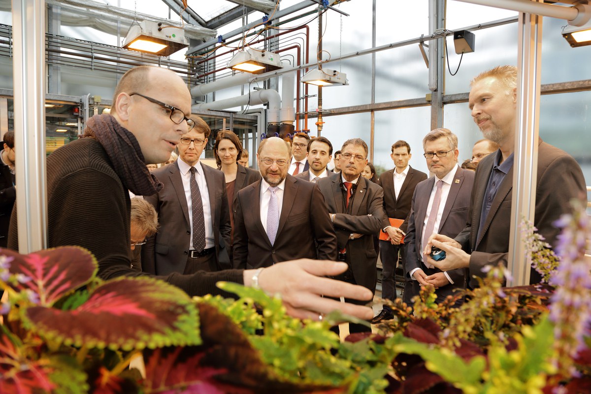 SPD-Vorsitzender Martin Schulz im IBG-2