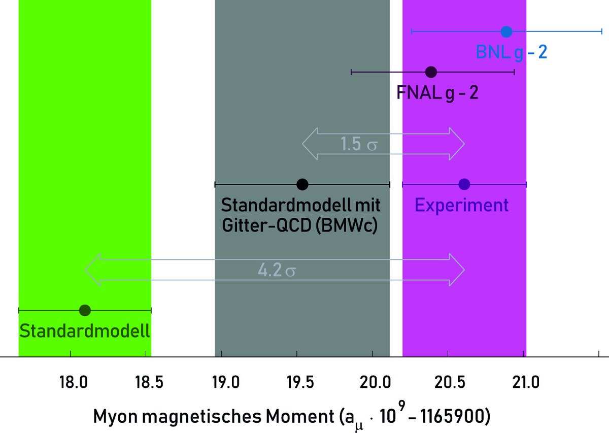 Myon Moment g-2