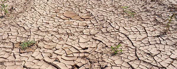 1,5-Grad Klimaziel – jeder ist gefordert!