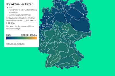 Bodenschutz heißt Klimaschutz