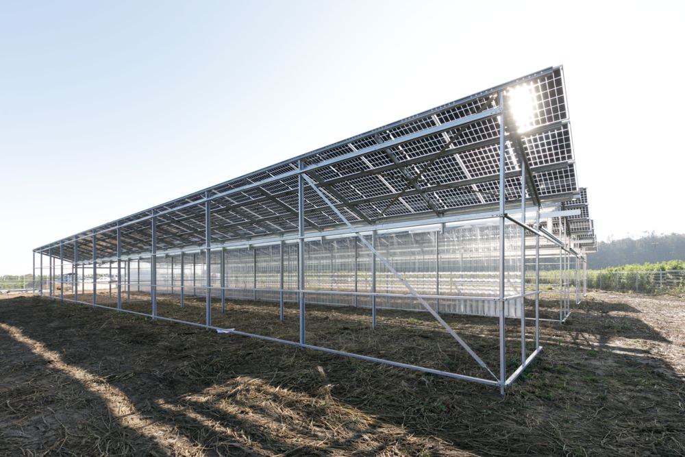 Forschungs- und Demonstrationsanlage für Agri-Photovoltaik in Morschenich-Alt