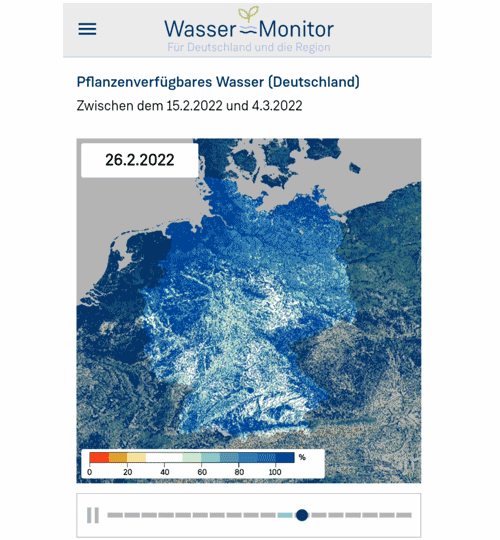Wassermonitor