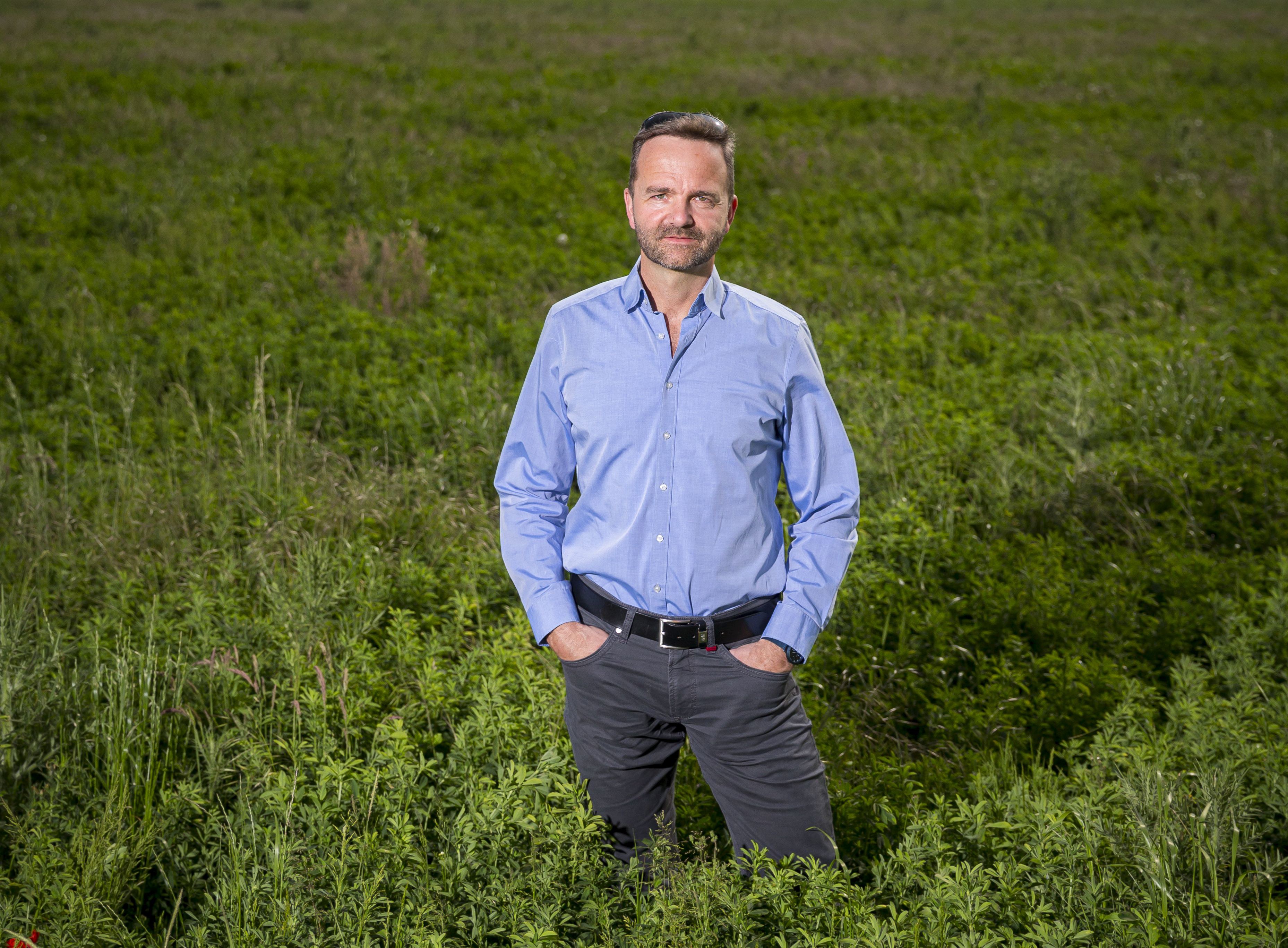 Prof. Nicolas Brüggemann