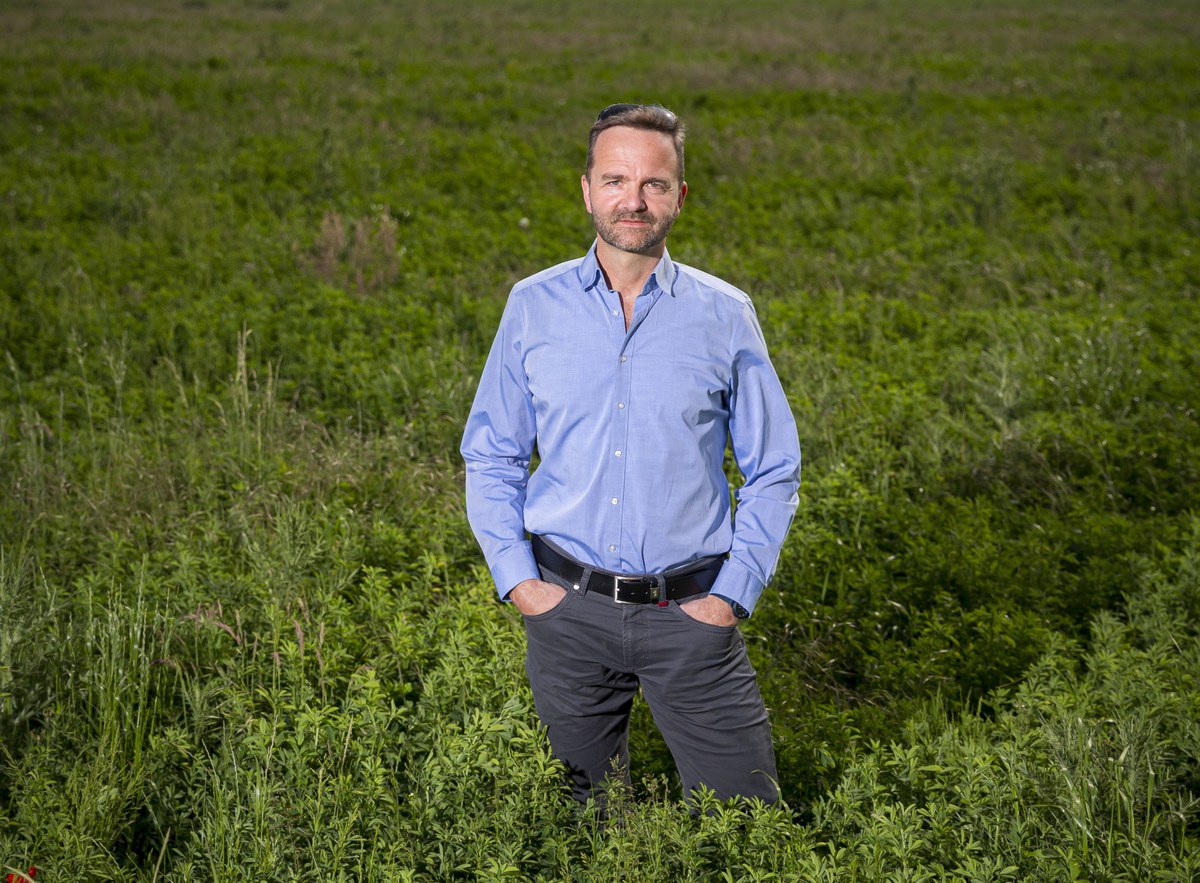 Prof. Nicolas Brüggemann