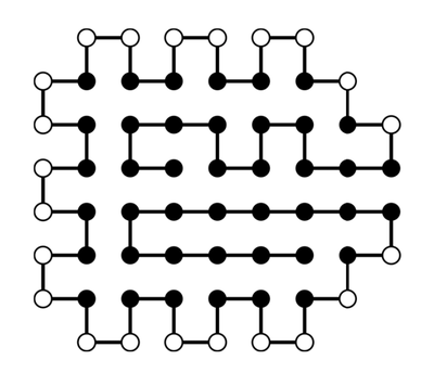 Jülicher Quantencomputer löst Protein-Puzzle