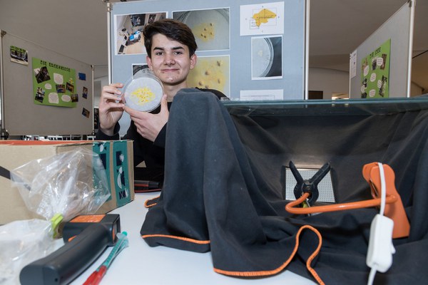 Vom Blob, den Masken und dem Plastikmüll