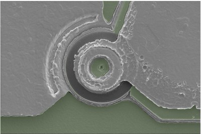 Rasterelektronenmikroskopische Aufnahme