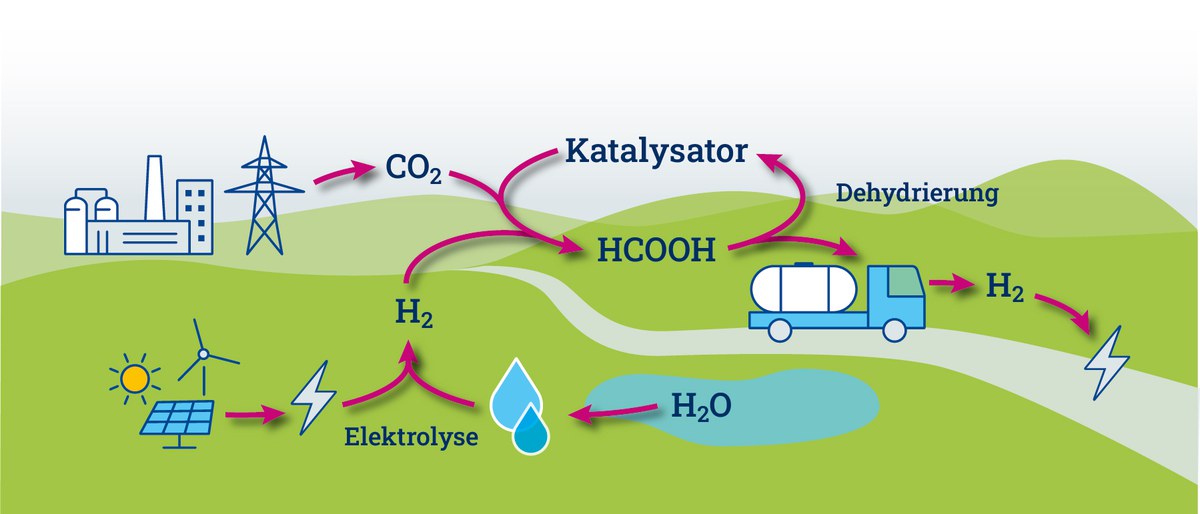 So funktioniert Ameisensäure als Speichersystem für Wasserstoff: Kohlenstoffdioxid (CO2) reagiert mit grünem Wasserstoff (H2) mithilfe eines Katalysators zu Ameisensäure (HCOOH). So kann Wasserstoff langfristig und mit weniger Aufwand gespeichert, gelagert und transportiert werden. Vor der Rückverstromung wird der Wasserstoff mit Hilfe eines Katalysators aus der Ameisensäure freigesetzt. Das Team um Regina Palkovits hat sich damit beschäftigt, diesen Katalysator zu optimieren. Das abgetrennte Kohlenstoffdioxid wird anschließend zurückgeführt, um erneut mit Wasserstoff verbunden zu werden und Ameisensäure zu bilden. Grün ist der Wasserstoff, wenn Wasser zuvor mit Strom aus regenerativen Quellen in seine Bestandteile Wasserstoff und Sauerstoff zerlegt worden ist. 