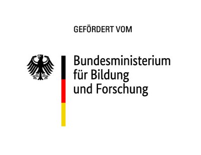 Ein Comeback für den Buchweizen – eine Nutzpflanze mit Potenzial