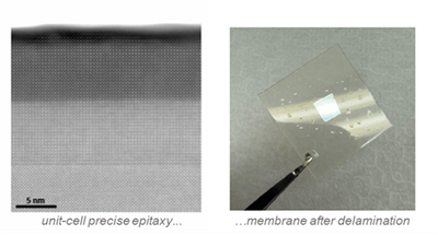 ERC Consolidator Grant für Dr. Felix Gunkel und „Scrambled Oxs