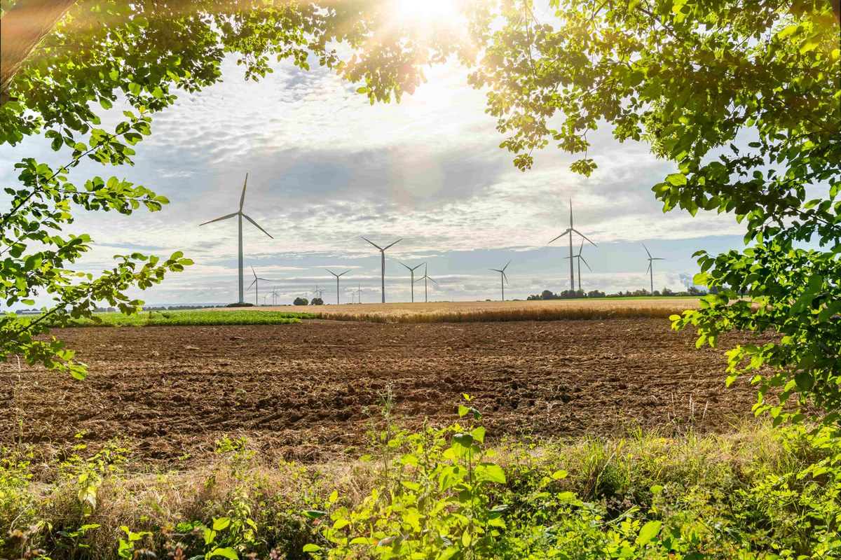 Modellregion Bioökonomie im Rheinischen Revier: Transformationscluster BioökonomieREVIER gestaltet das Innovationssystem der Region