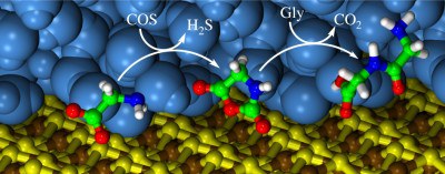 558_PREV_2008-02-14-Peptide_marxbild_jpg