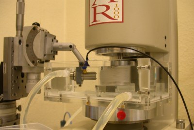 751_PREV_2010-01-06_PRL-Lettinga_Bild1_jpg
