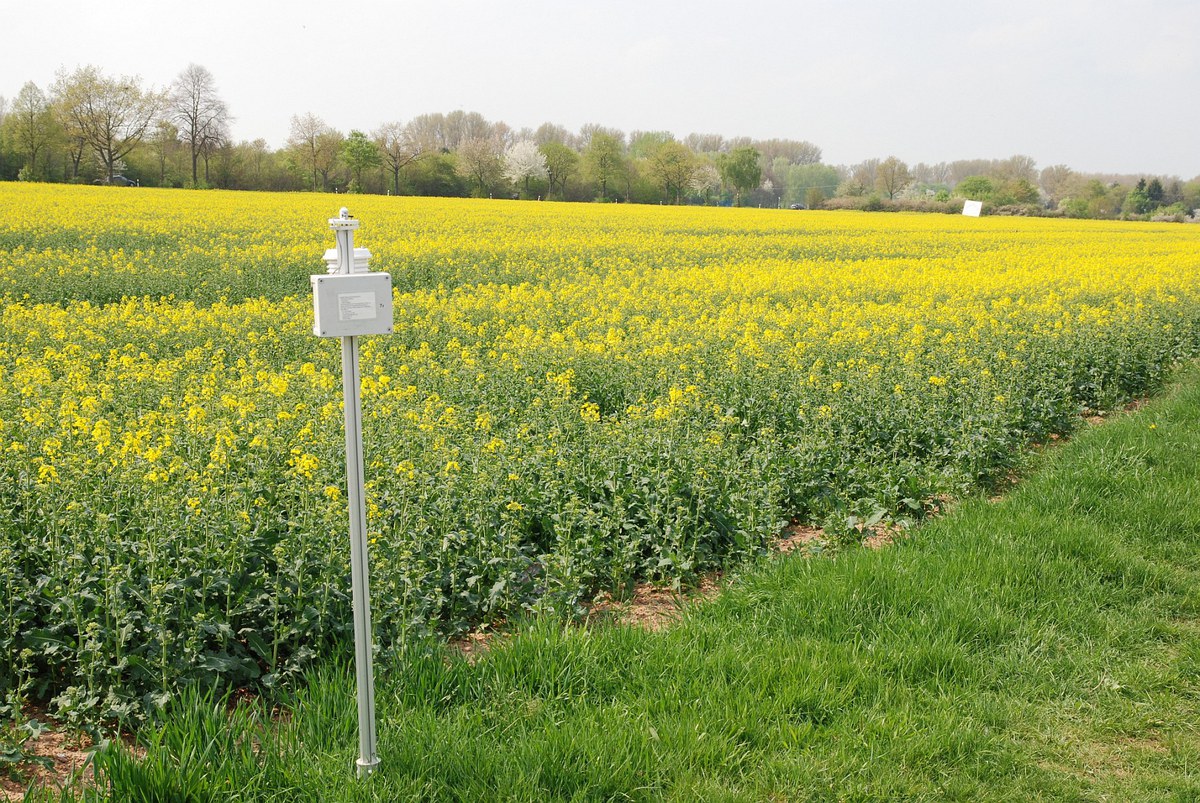 Pyranometer