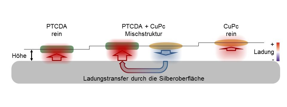 Grafische Darstellung der scheinbar paradoxen Veränderung der Bindungslänge