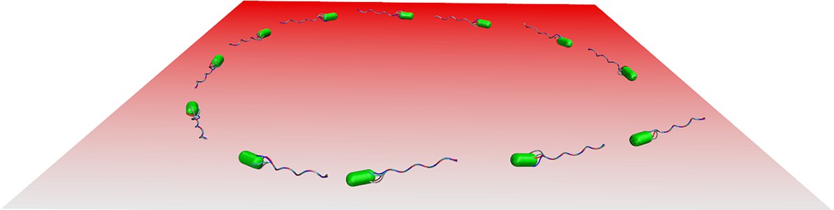 ScRep Microswimmers