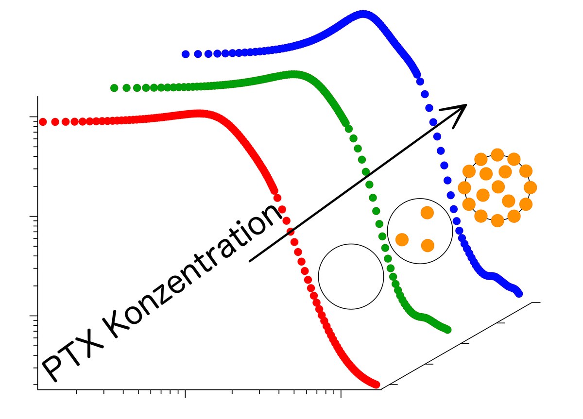 PTX Konzentration