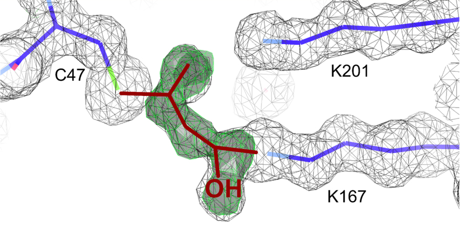 Globale Struktur (oben) und Nahaufnahme (unten) des katalytischen Zentrums des DERA-Enzyms im deaktivierten Zustand.