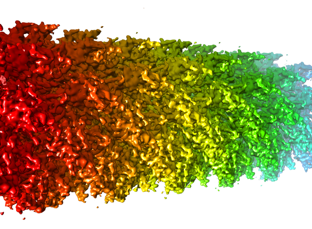 farbiges 3D-Modell der Struktur eines Filamentes sogenannter Flagellin-Proteine.