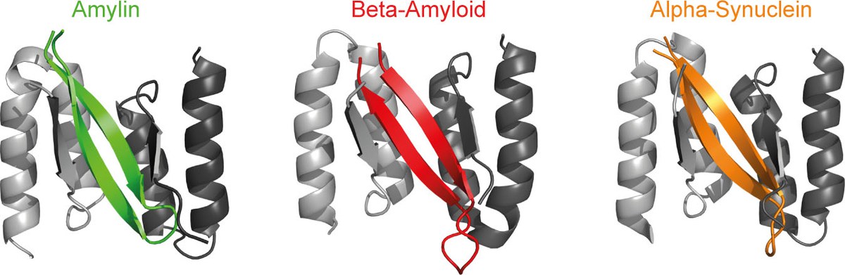 Beta-Wrapine