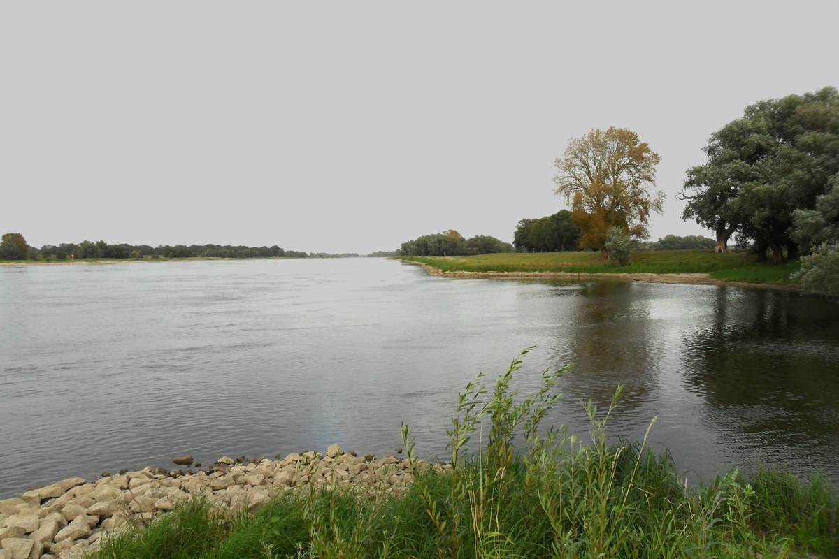 Abschnitt der Elbe