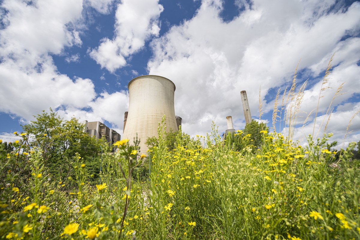 Blumenwiese vor Kraftwerk