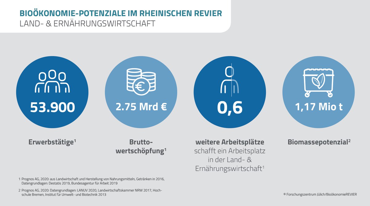 Bioökonomie-Potenziale