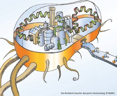 Aus Alt mach Neu: Mikroorganismen, was können sie eigentlich nicht?
