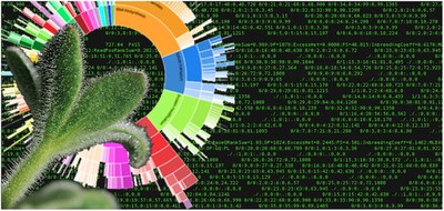 Bioinformatik für die Bioökonomie – Vom Gen zum nutzbaren Pflanzeninhaltsstoff