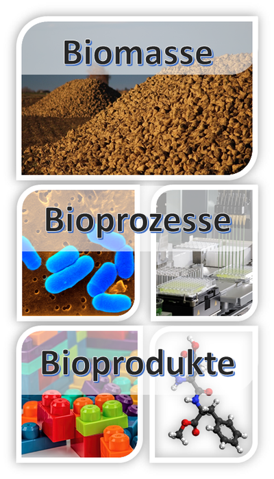 Biotechnologie: Meistens unsichtbar, aber überall dabei