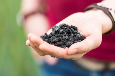 Phosphordünger aus Tierknochen – eine alternative zu Rohphosphaten