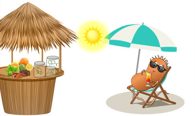 The sunny side of life – Mit der Energie der Sonne zu neuen Wert- und Wirkstoffen
