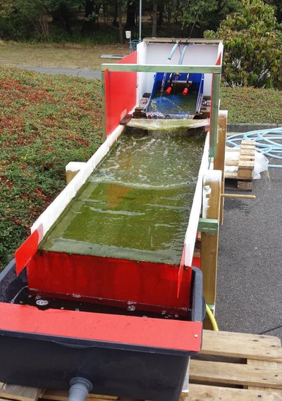 AlgalTurfScrubber.jpg