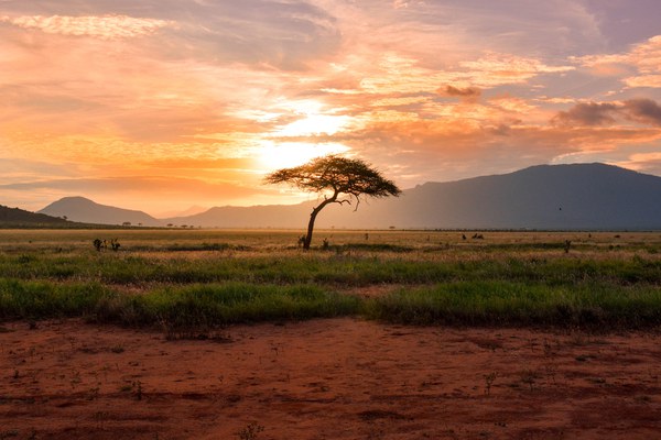 Afrikanische Steppenlandschaft mit Bergen im Hintergrund.